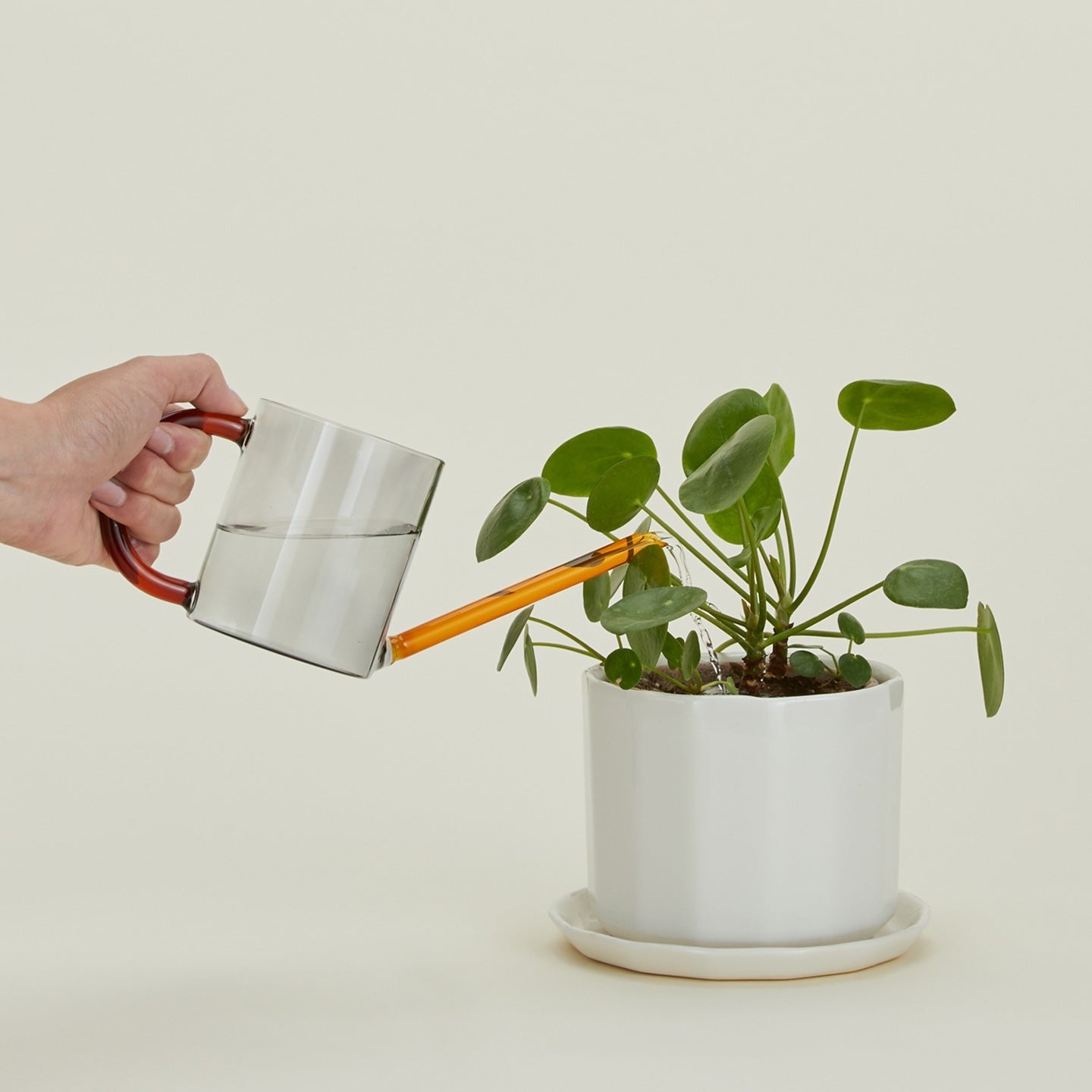 Glass Watering Can