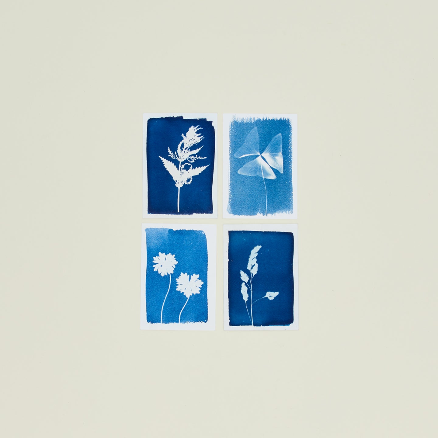 Cyanotype Kit