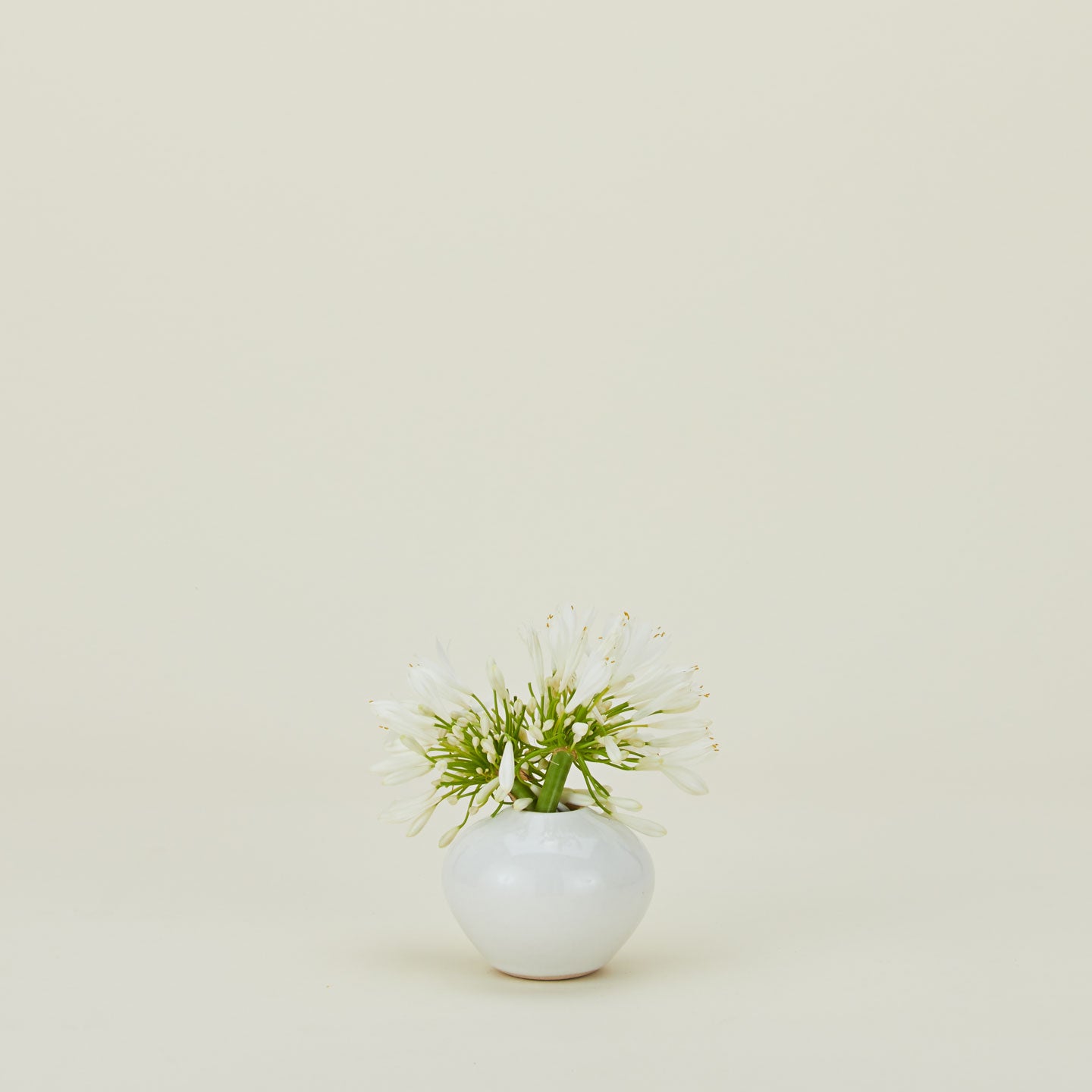 Verdure Vase in White in Small size with flowers.