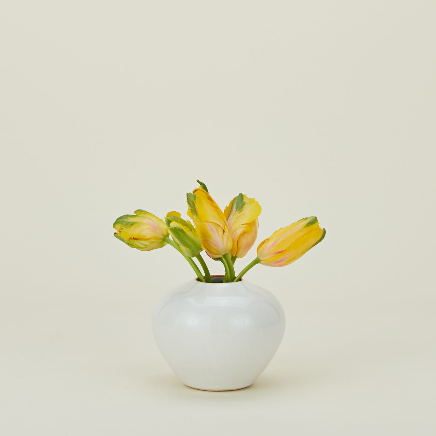 Verdure Vase in White in Medium size with flowers