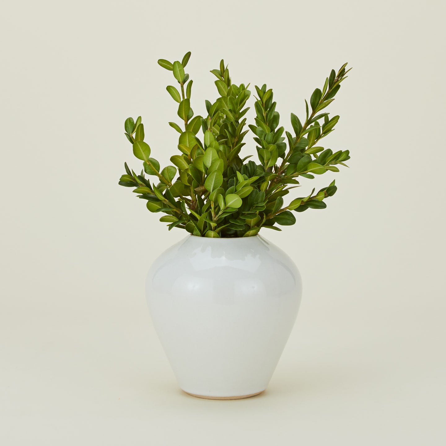 Verdure Vase in White in Large size with flowers.