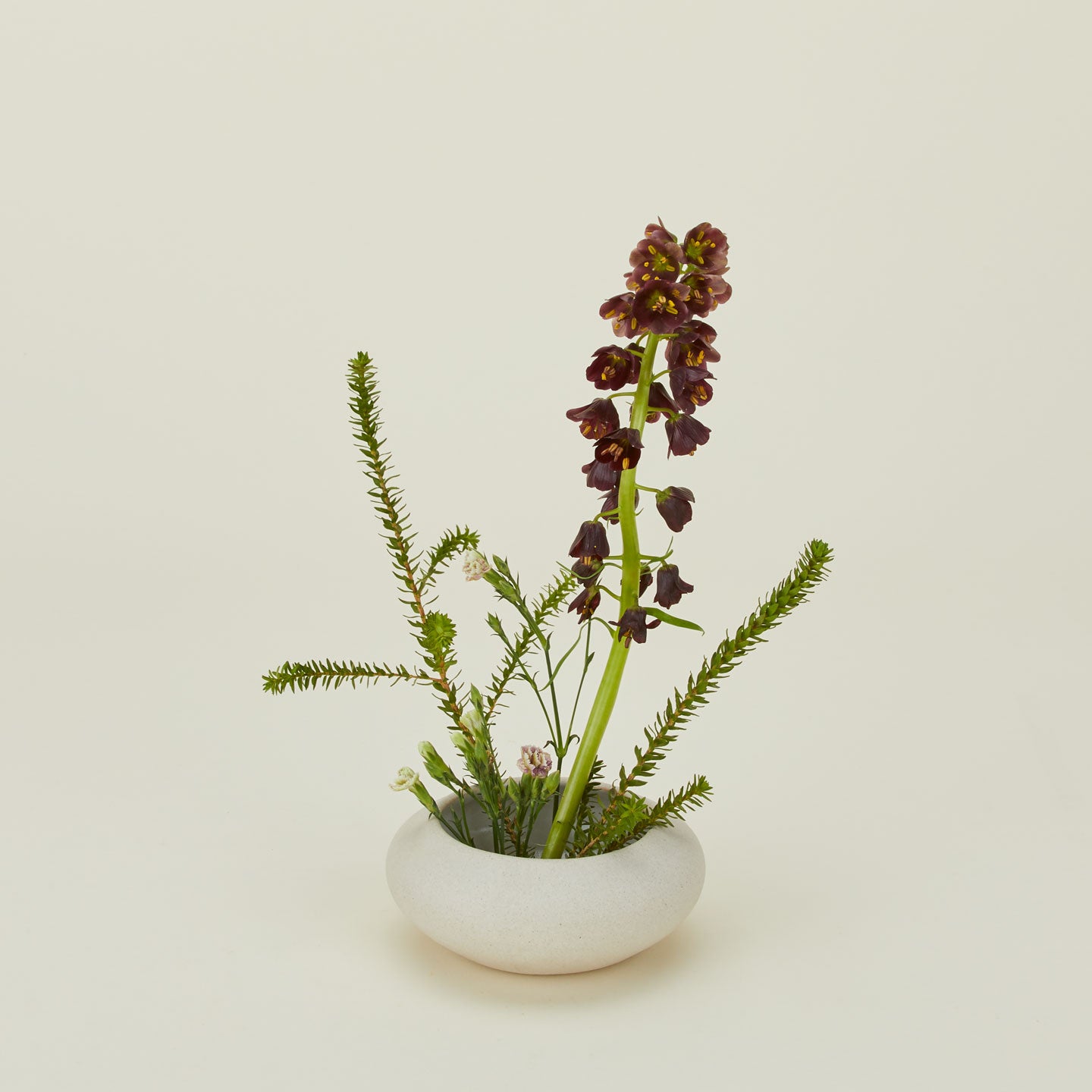 Stoneware Ikebana Vase in Natural in Large size with flowers.