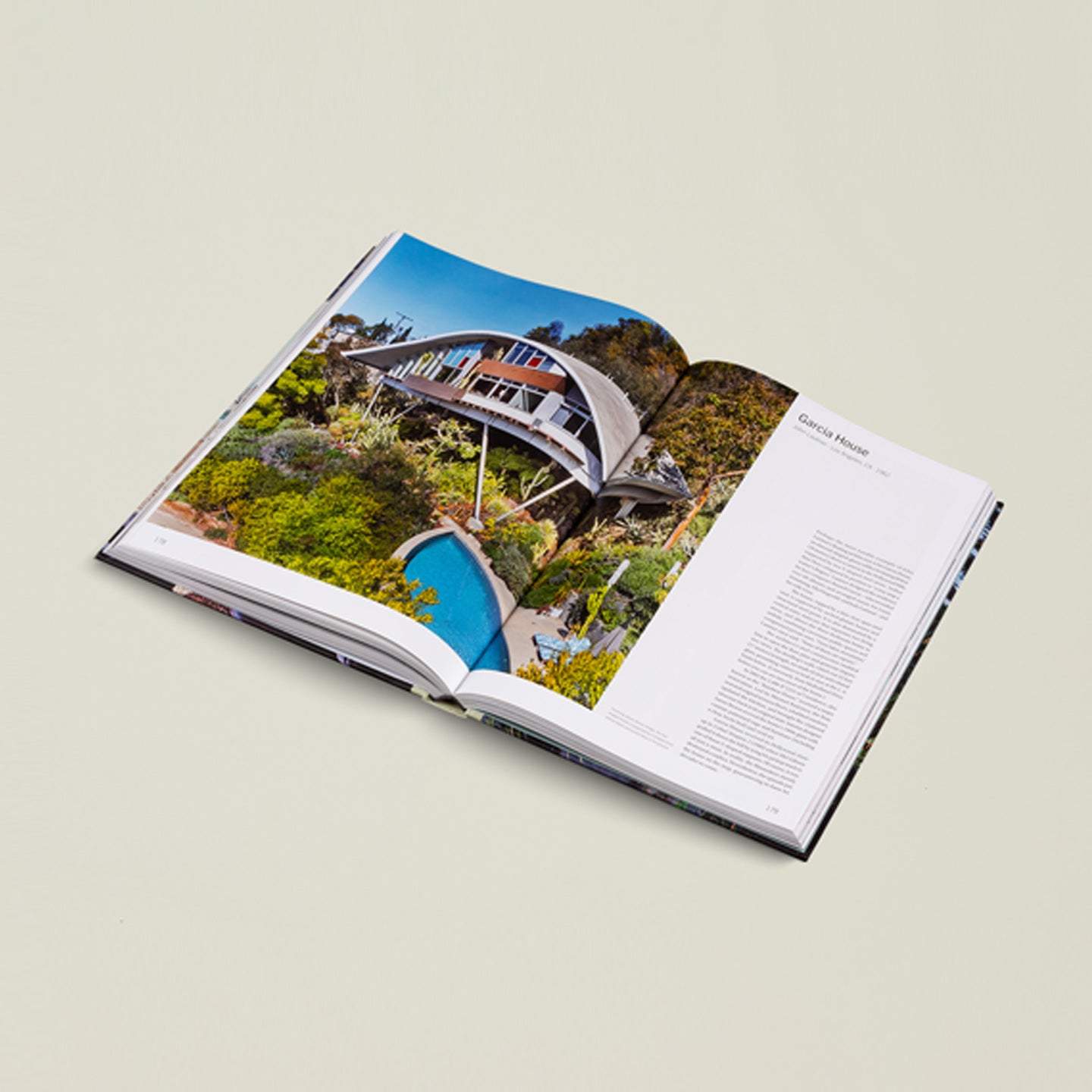 American Icons book open
