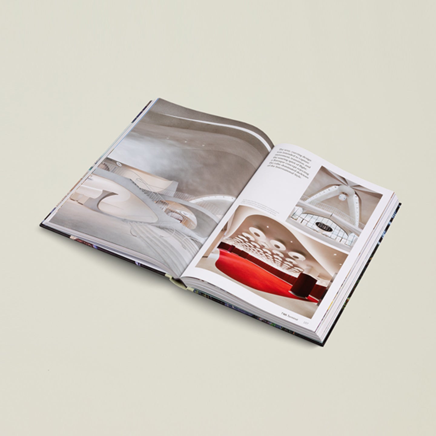 American Icons book open