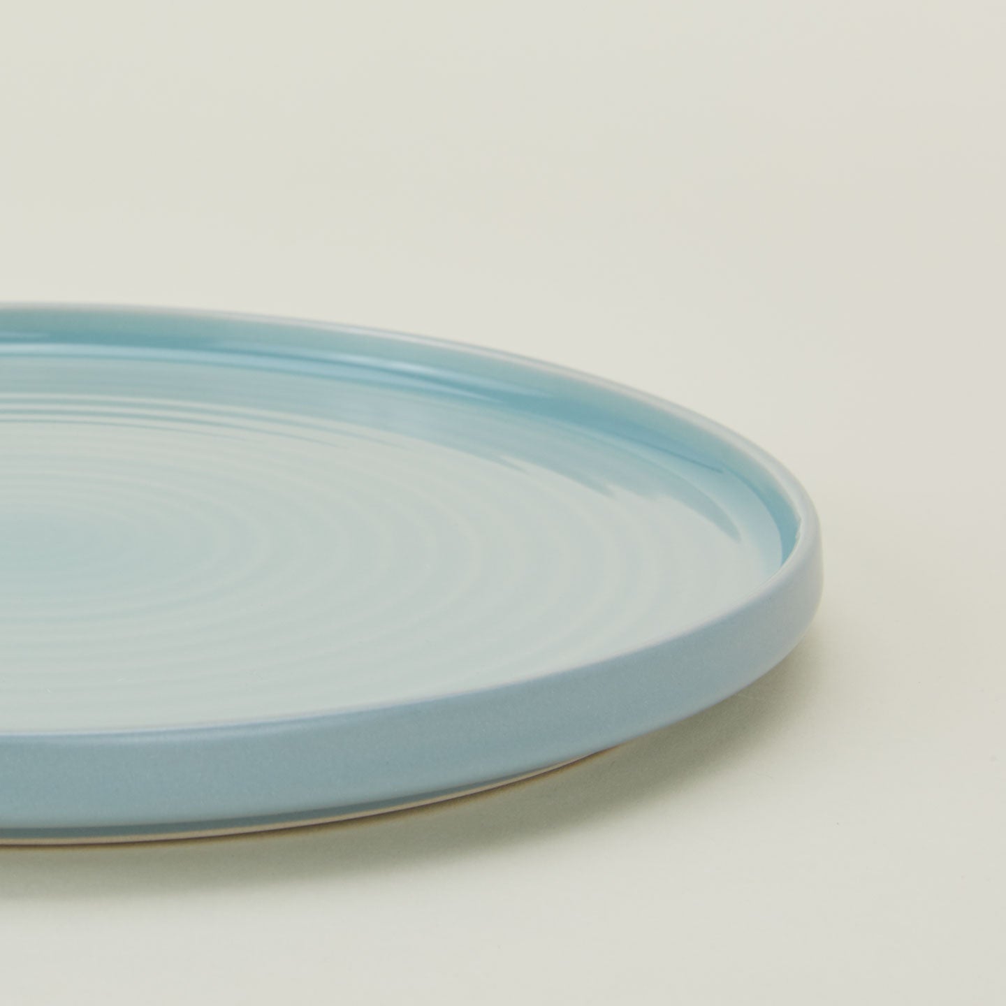 Close up of Essential Salad Plate in Sky.