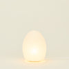 Asano Paper Moon - Egg