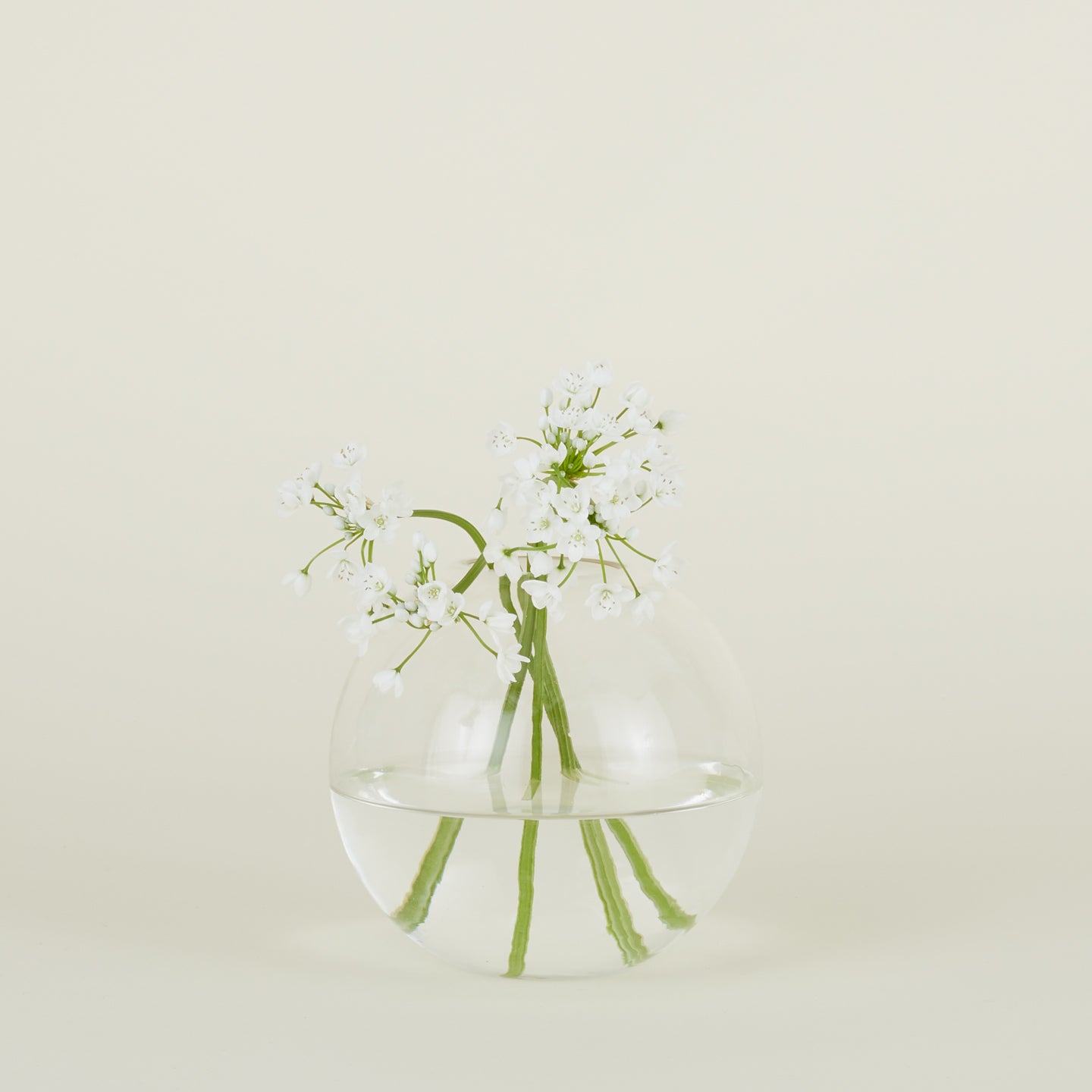 Large aurora sphere vase in clear with flowers