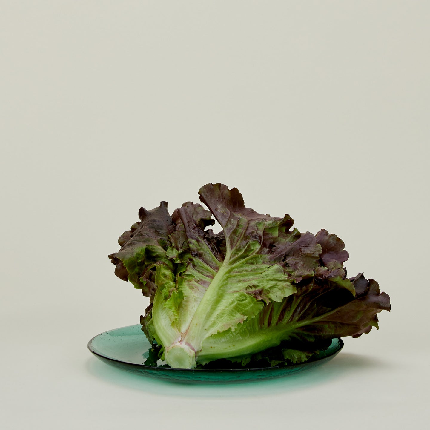 Glass Dinner Plate in Jade, with lettuce.