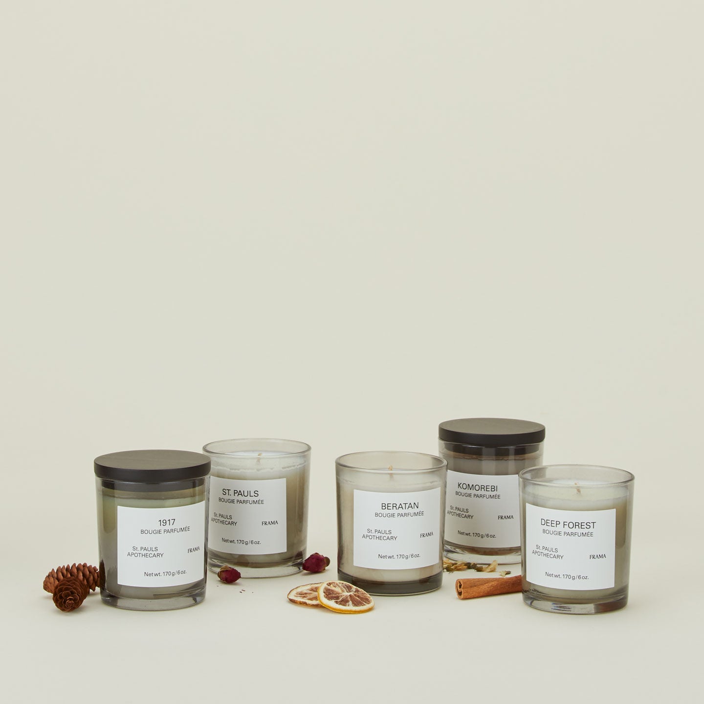 A group of wax scented candles with dry flora, fruit, and spices.