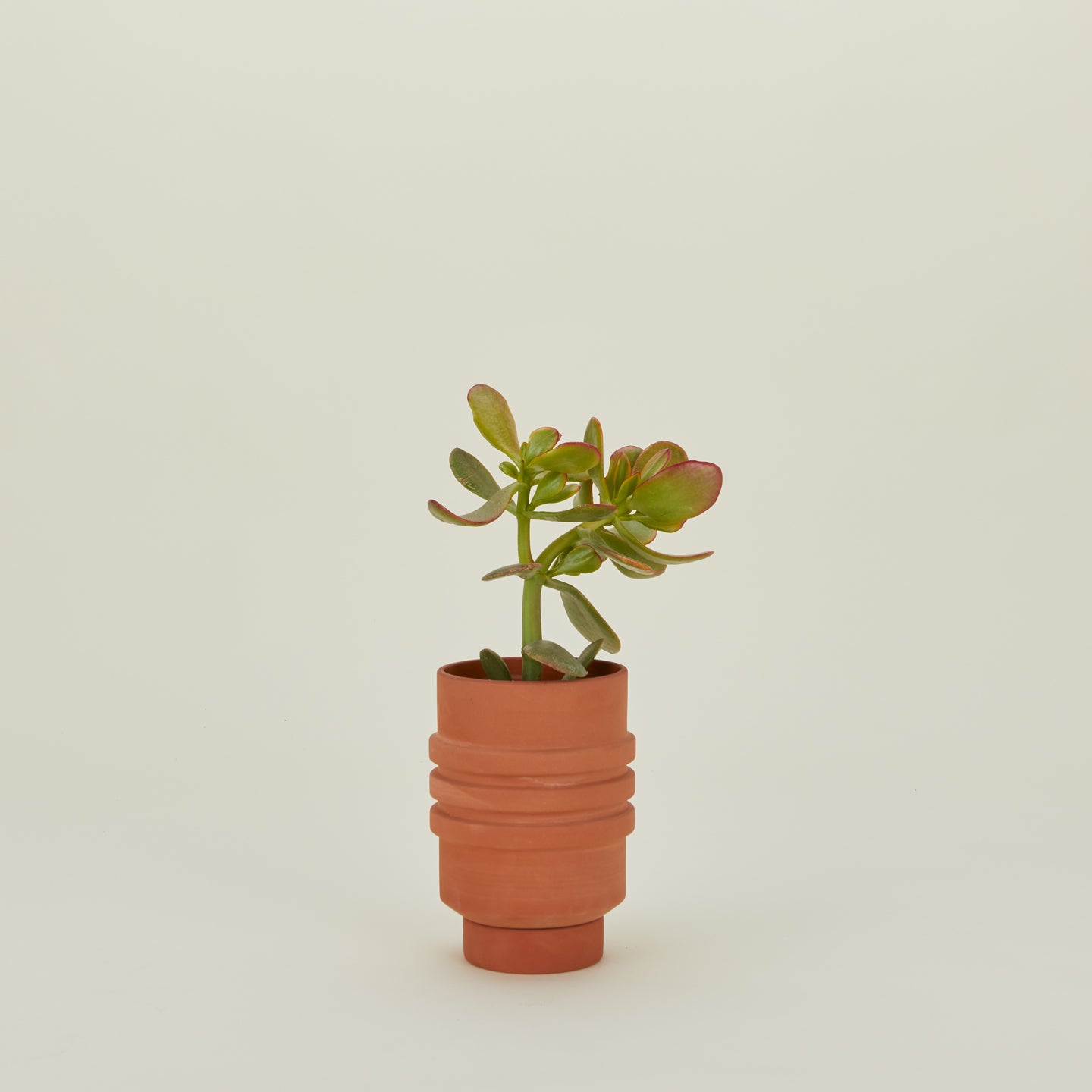 Strata Planter - Terracotta