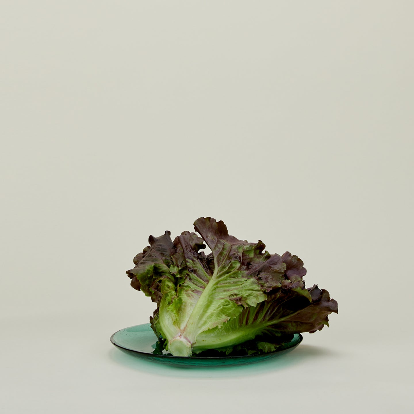 Glass Dinner Plate - Jade