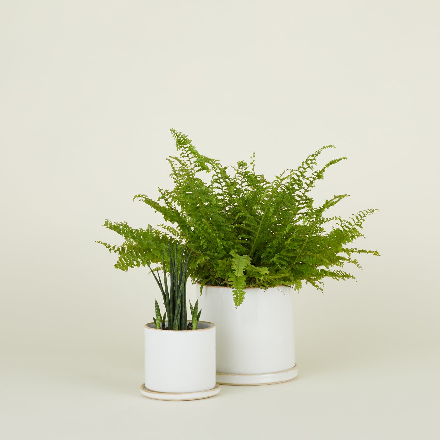 Minimal Planter