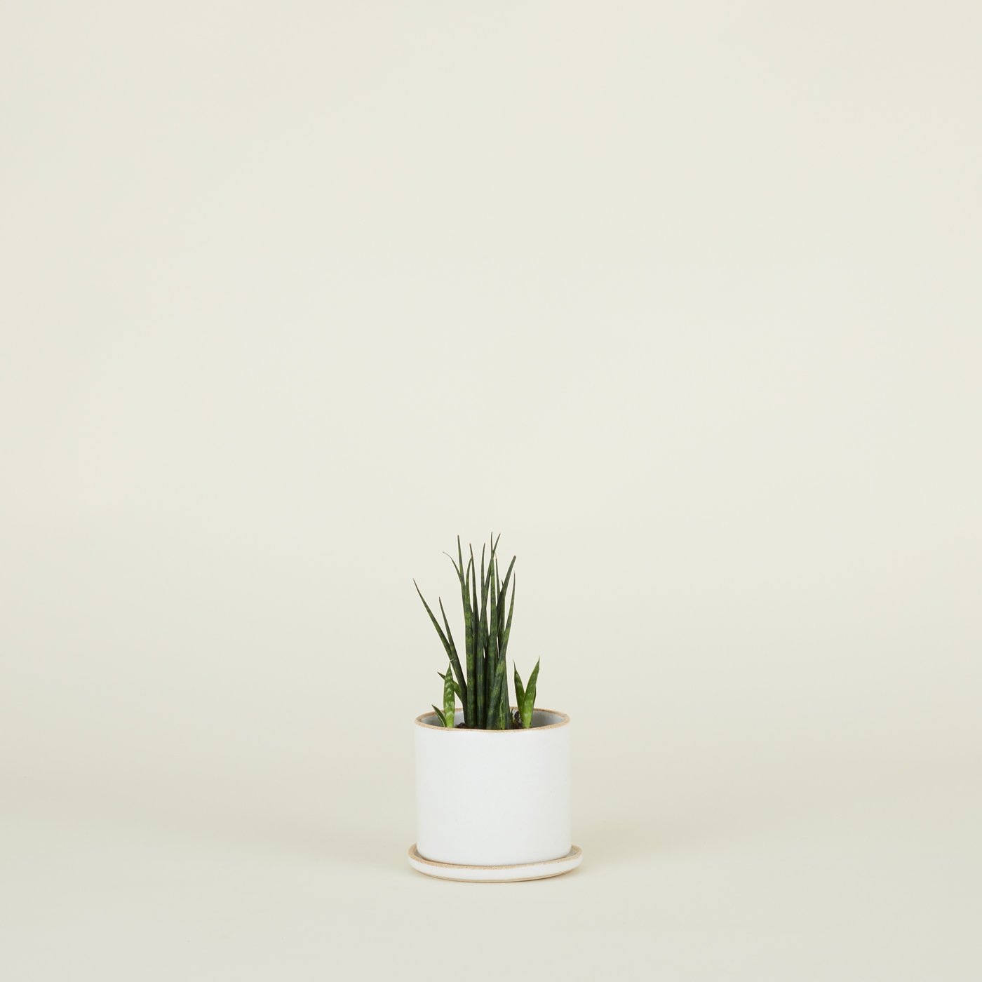 Minimal Planter