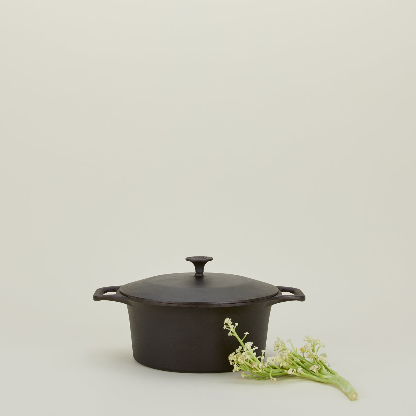 Cast Iron Dutch Oven