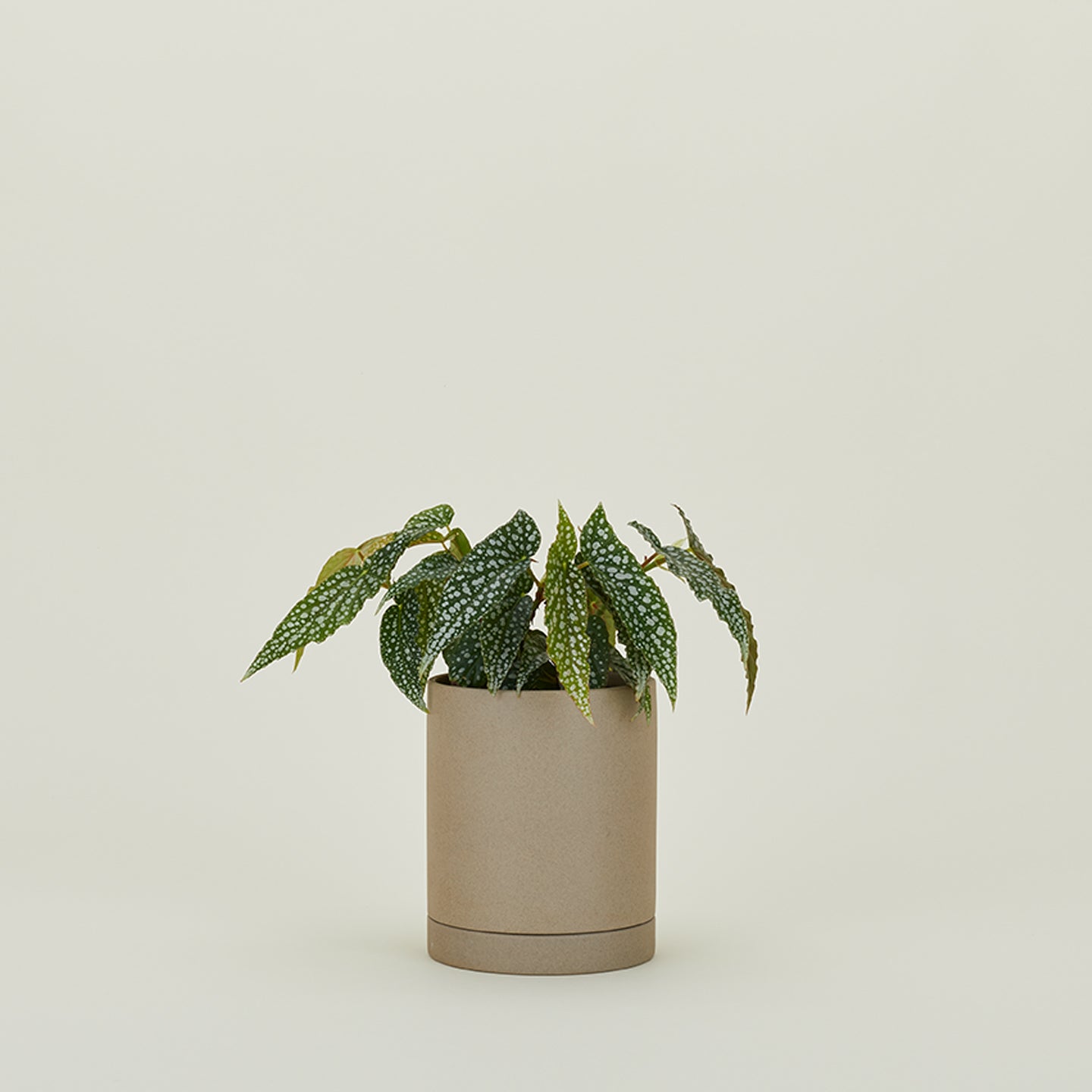 Sekki Pots - Sand