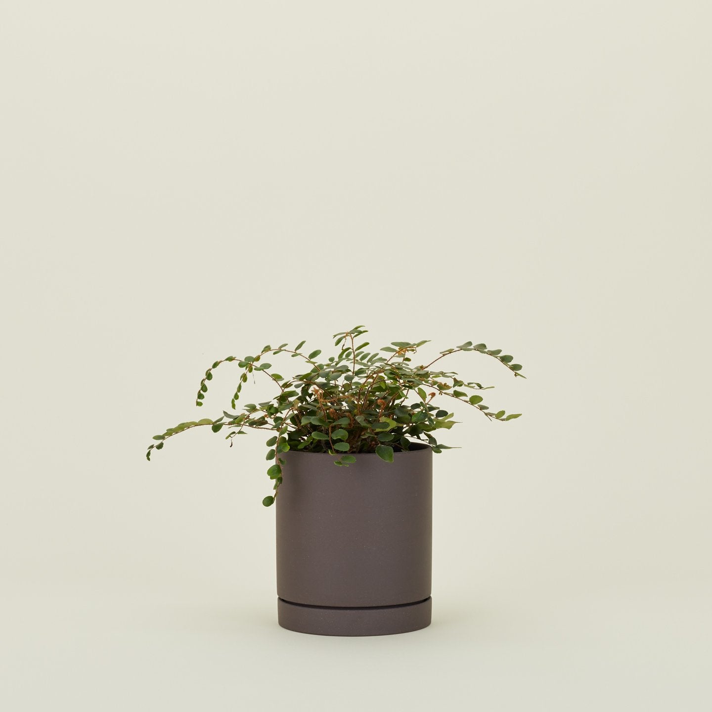 Sekki Pots - Charcoal