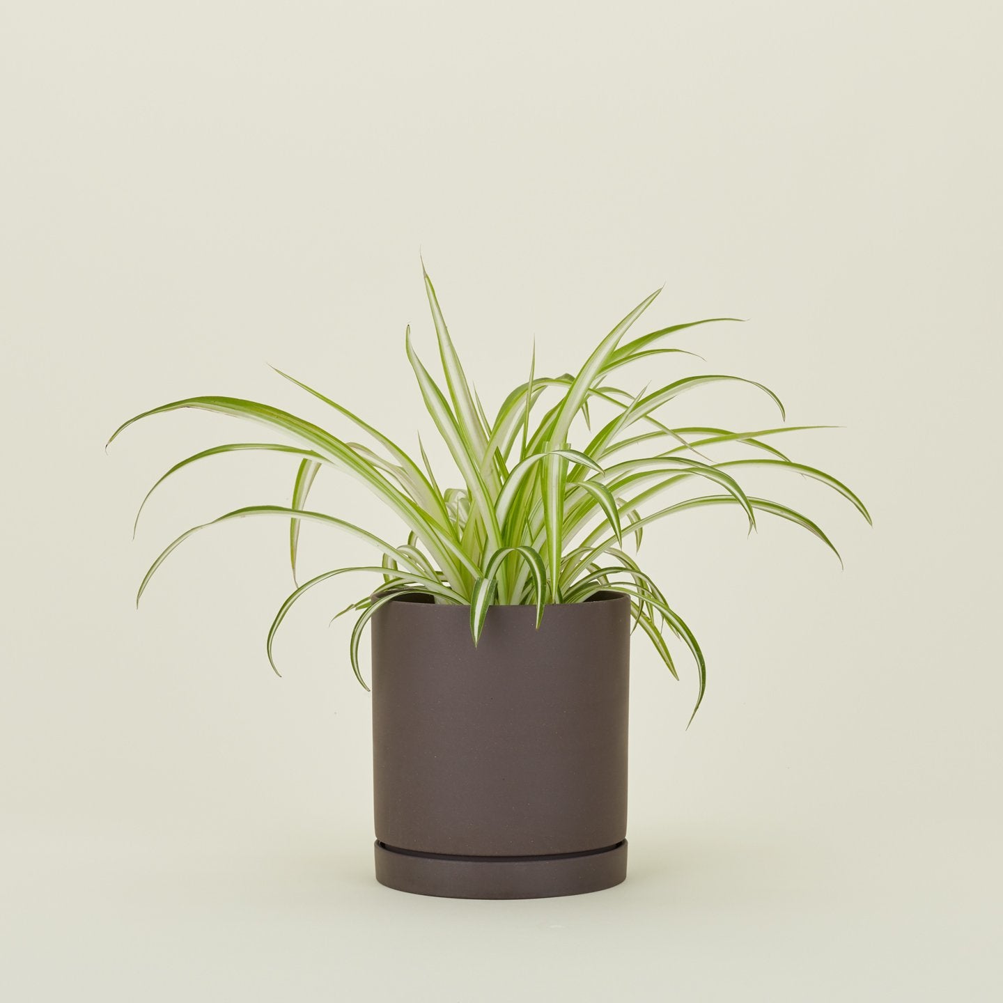 Sekki Pots - Charcoal