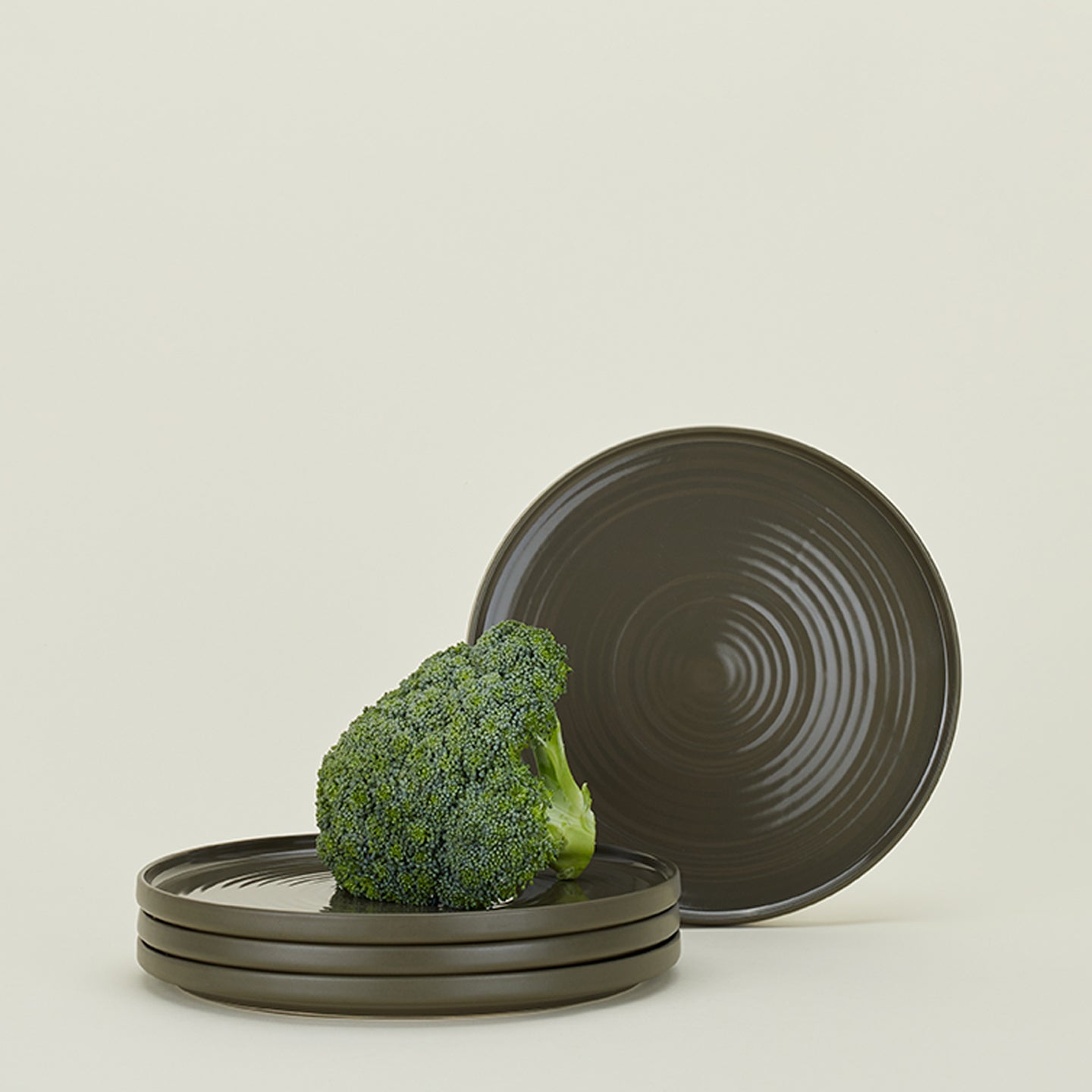 Essential Dinner Plate, Set of 4 - Olive