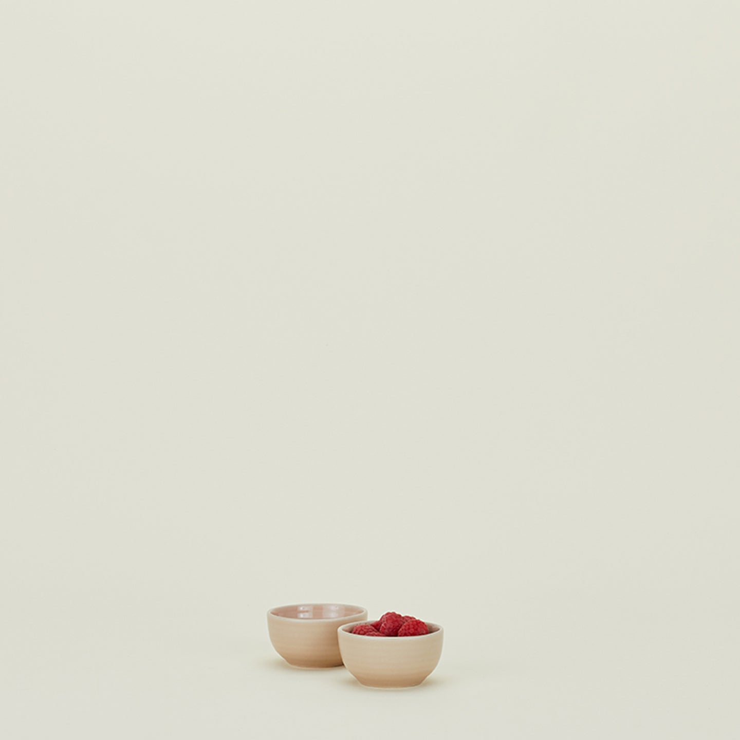 Essential Extra Small Bowl, Set of 2 - Blush