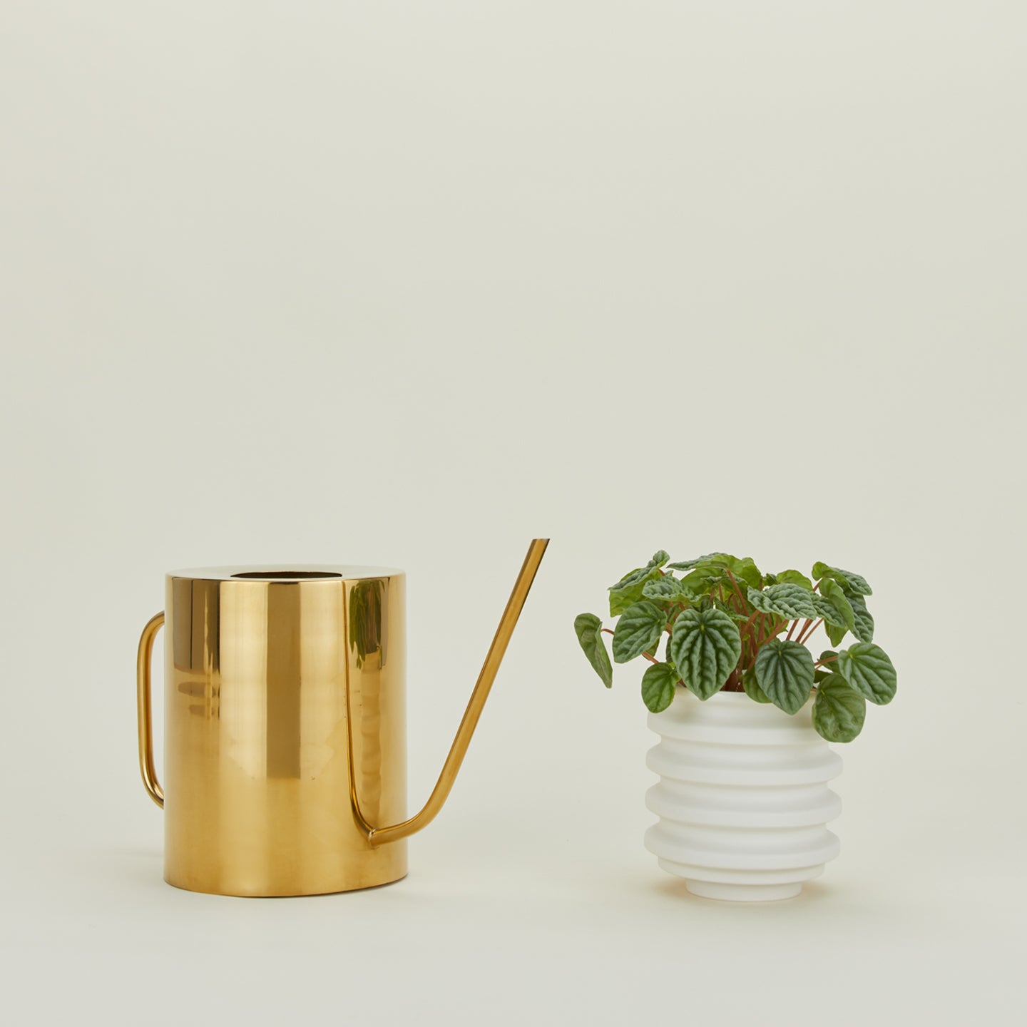 Simple Watering Can