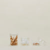 Glass Canister