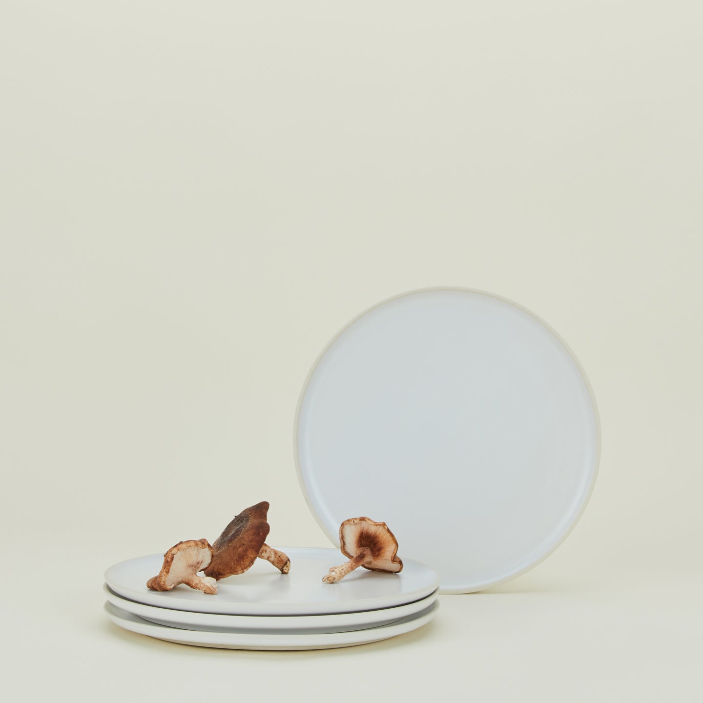 Modernist Dinner Plate