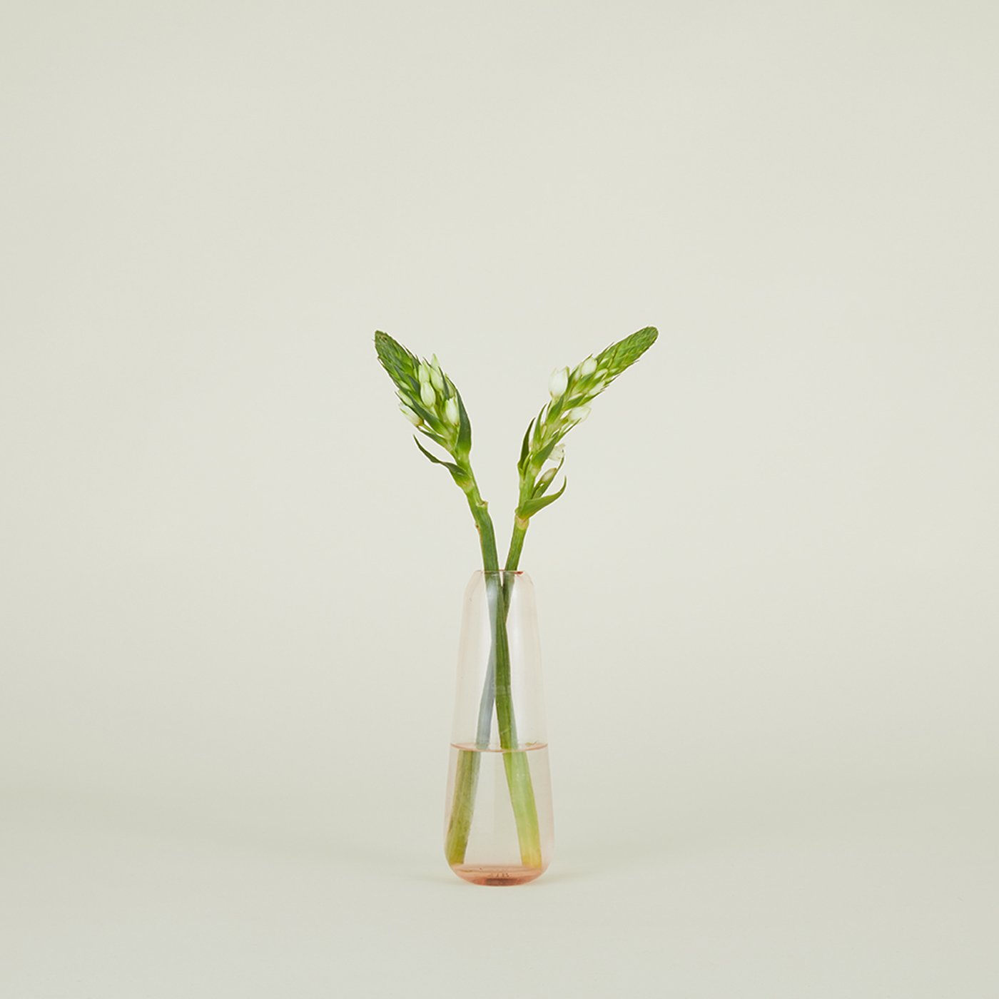 Aurora Slim Drop Vase - Blush