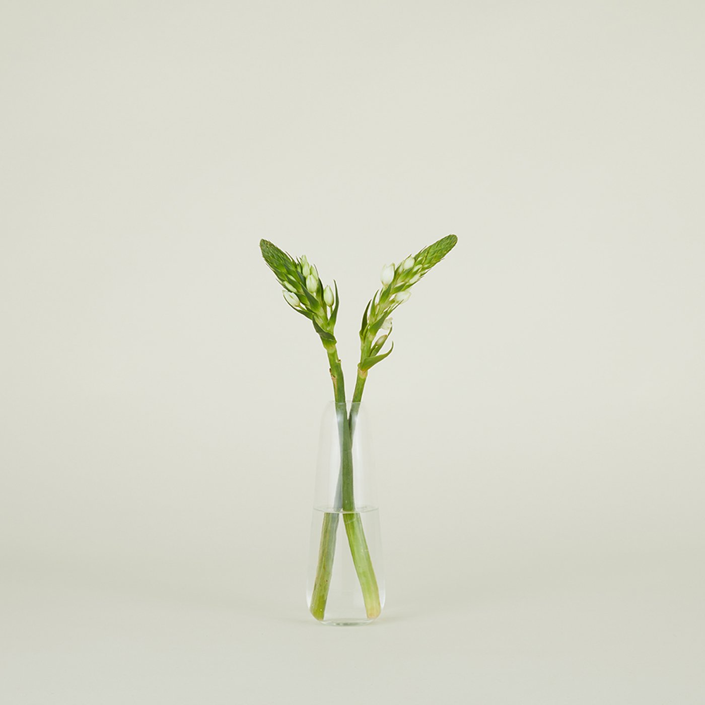 Aurora Slim Drop Vase - Clear