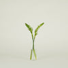 Aurora Slim Drop Vase - Clear