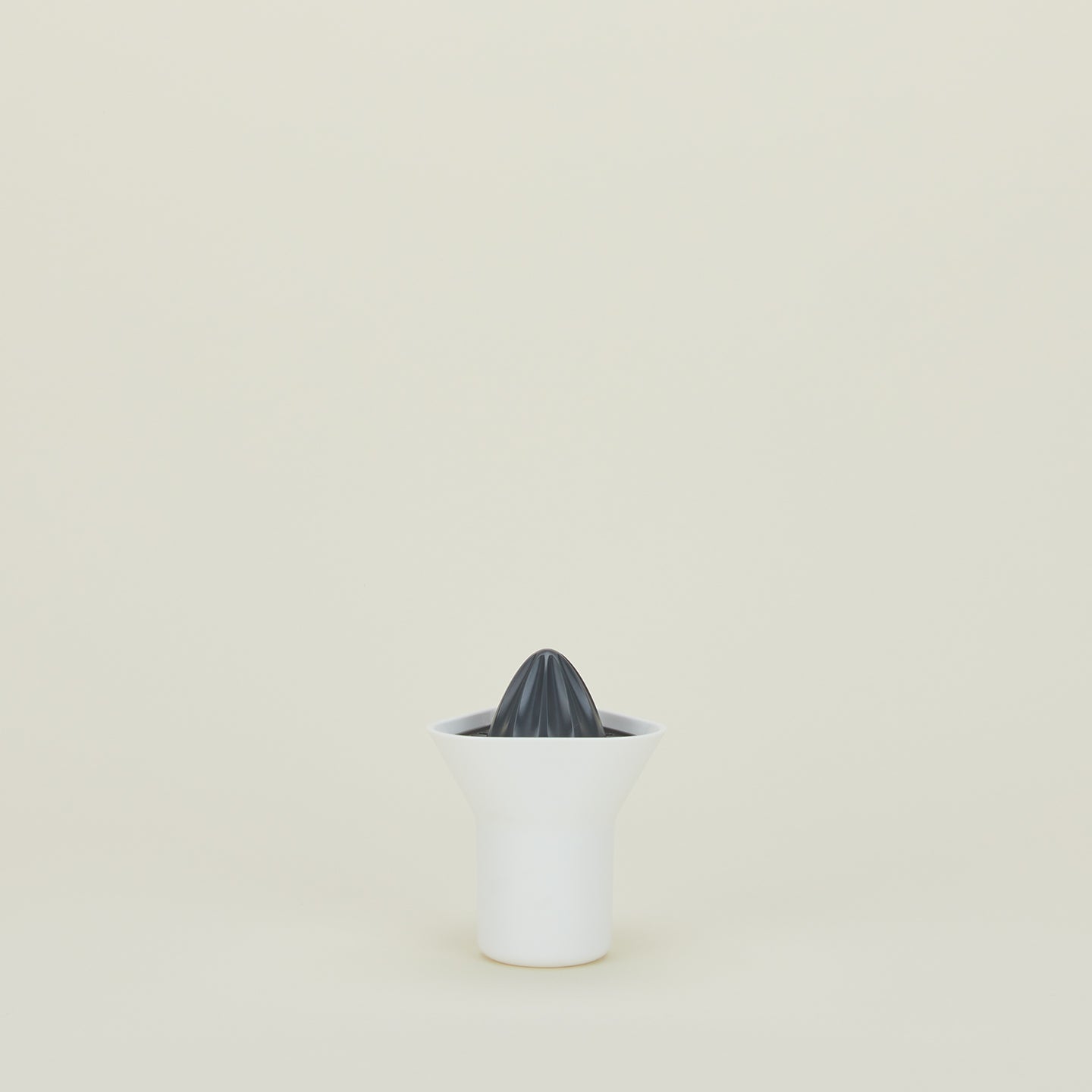 Citrus Juicer