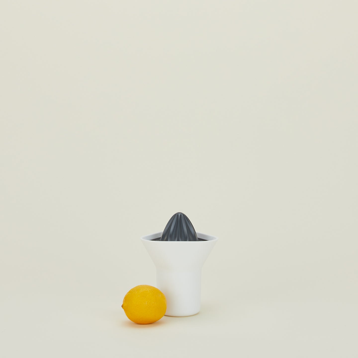 Citrus Juicer