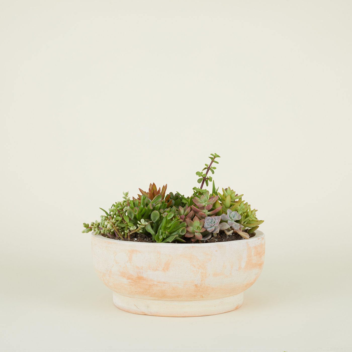 Footed Bowl Planter - Terracotta