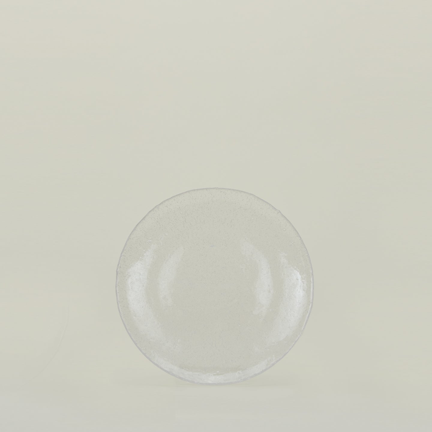 Glass Dinner Plate - Clear