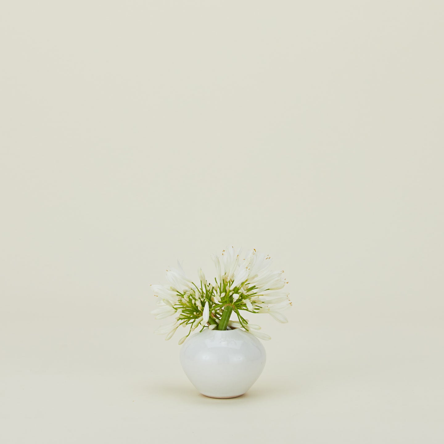 Verdure Vase - White