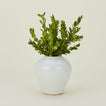 Verdure Vase in White in Large size with flowers.