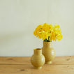 Essential Ceramic Vase in Mustard on wood countertop with daffodils.