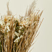 Close up view of Andaluca lacey dried floral bouquet.