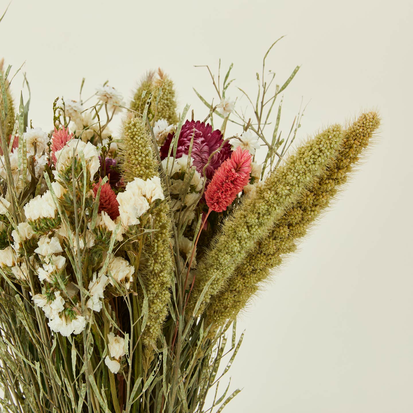 Close up view of pink strawflower dried floral bouquet.
