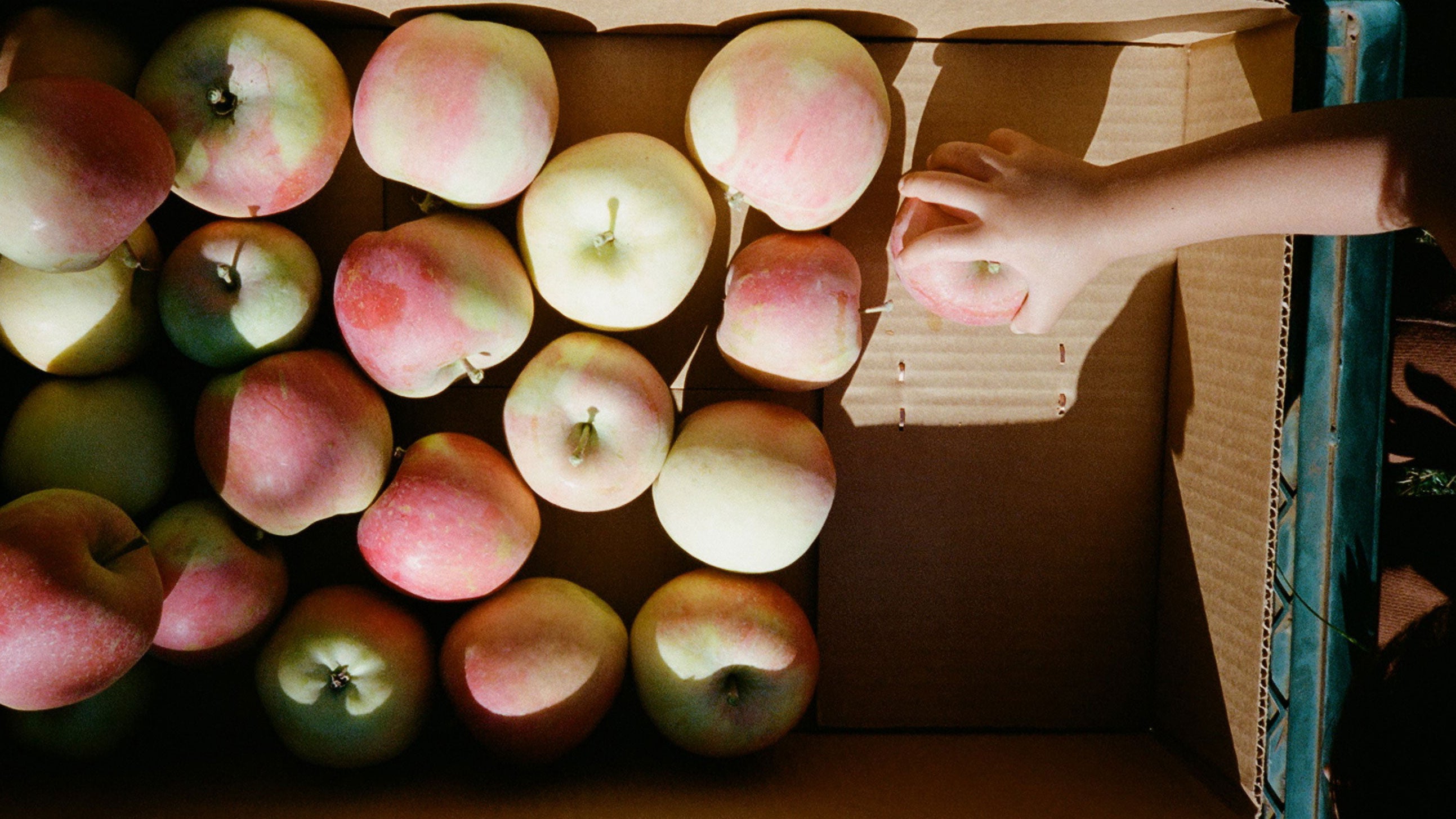 Apples being selected from a box with a hand holding a small apple