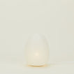 Asano paper moon egg lamp