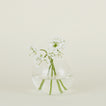 Large aurora sphere vase in clear with flowers