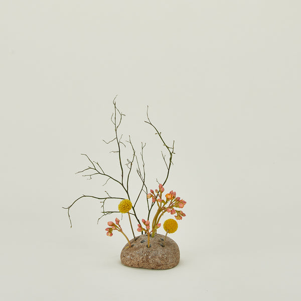 bloomist-round-rock-ikebana-