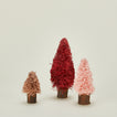 Bottlebrush tree set in warm