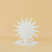White 16 point star tree topper with snow around base.