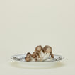 Ginori oval platter in albus with mushrooms