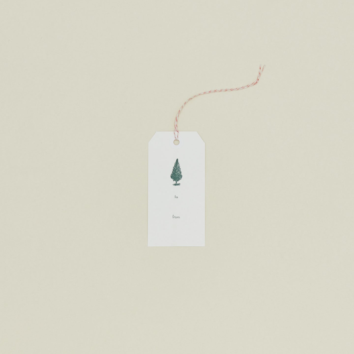 Spruce Gift Tag, Set of 10