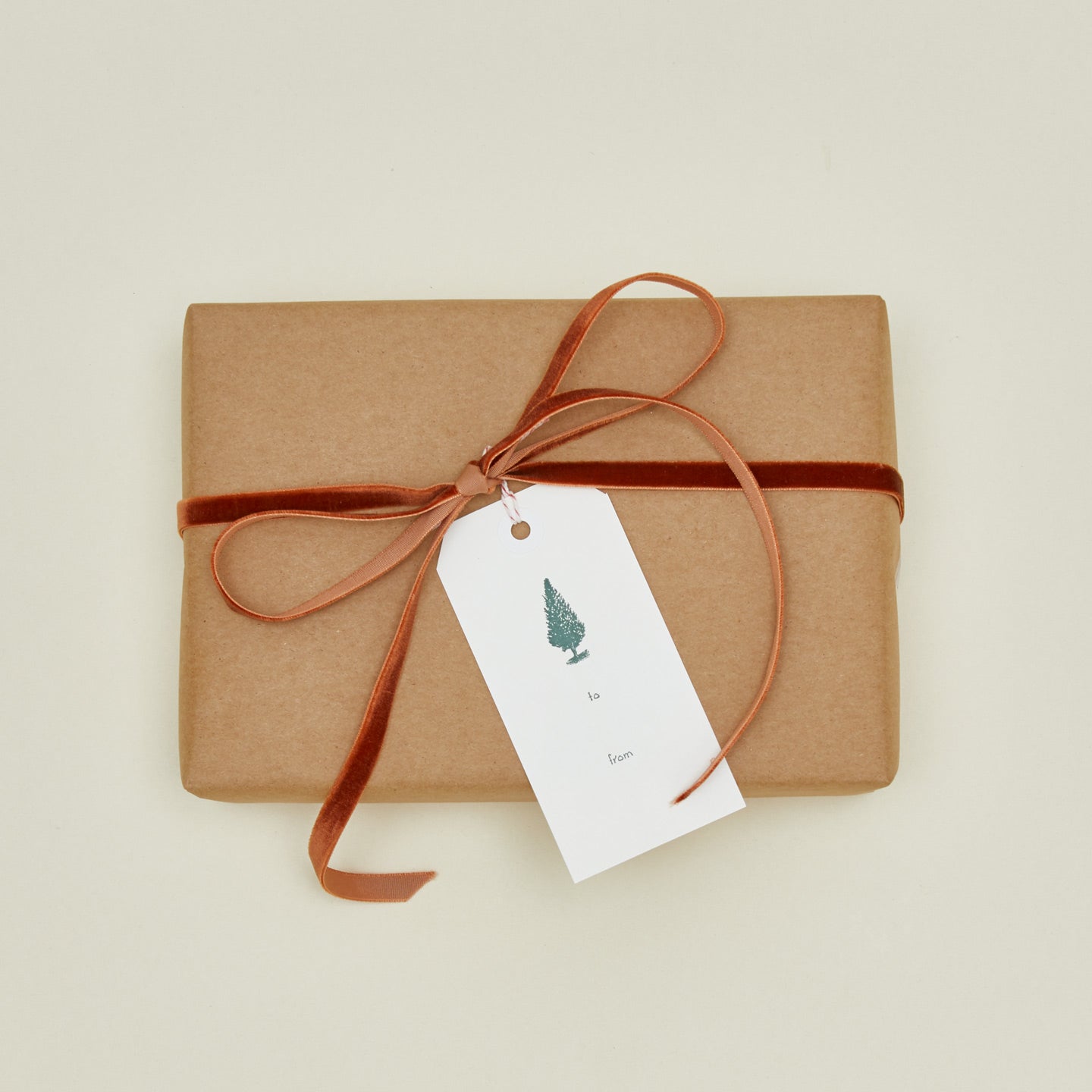 Spruce Gift Tag on present
