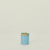 Scalloped Match Striker - Baby Blue