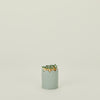 Scalloped Match Striker - Mint Green