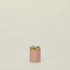 Scalloped Match Striker - Pink